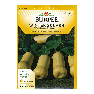 Seeds - Squash, Winter 'Waltham Butternut'