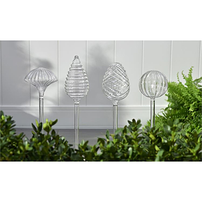 Glass Watering Bulb Stake - Clear