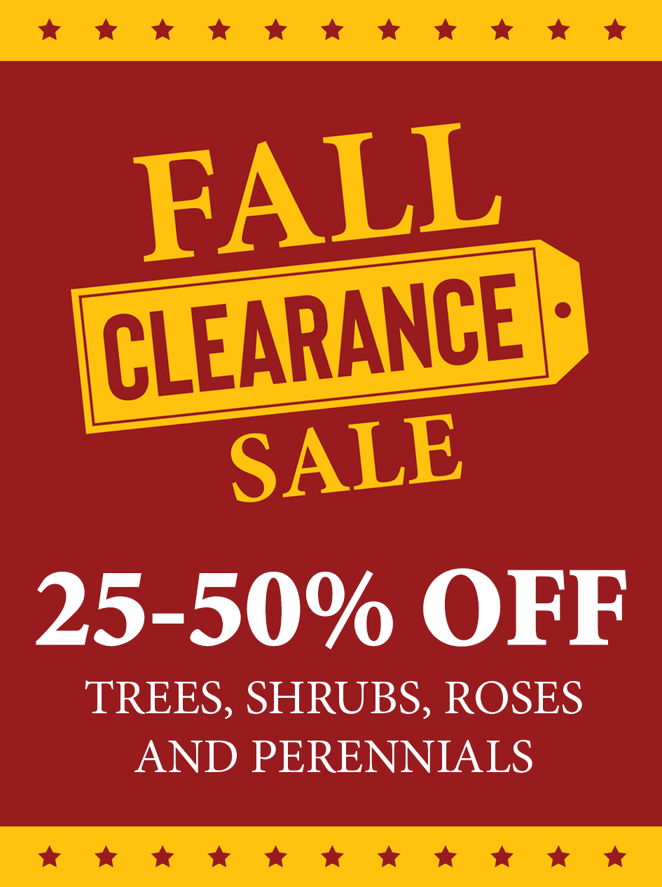 Fall Clearance Sale, 25% to 50% off trees, shrubs, roses and perennials