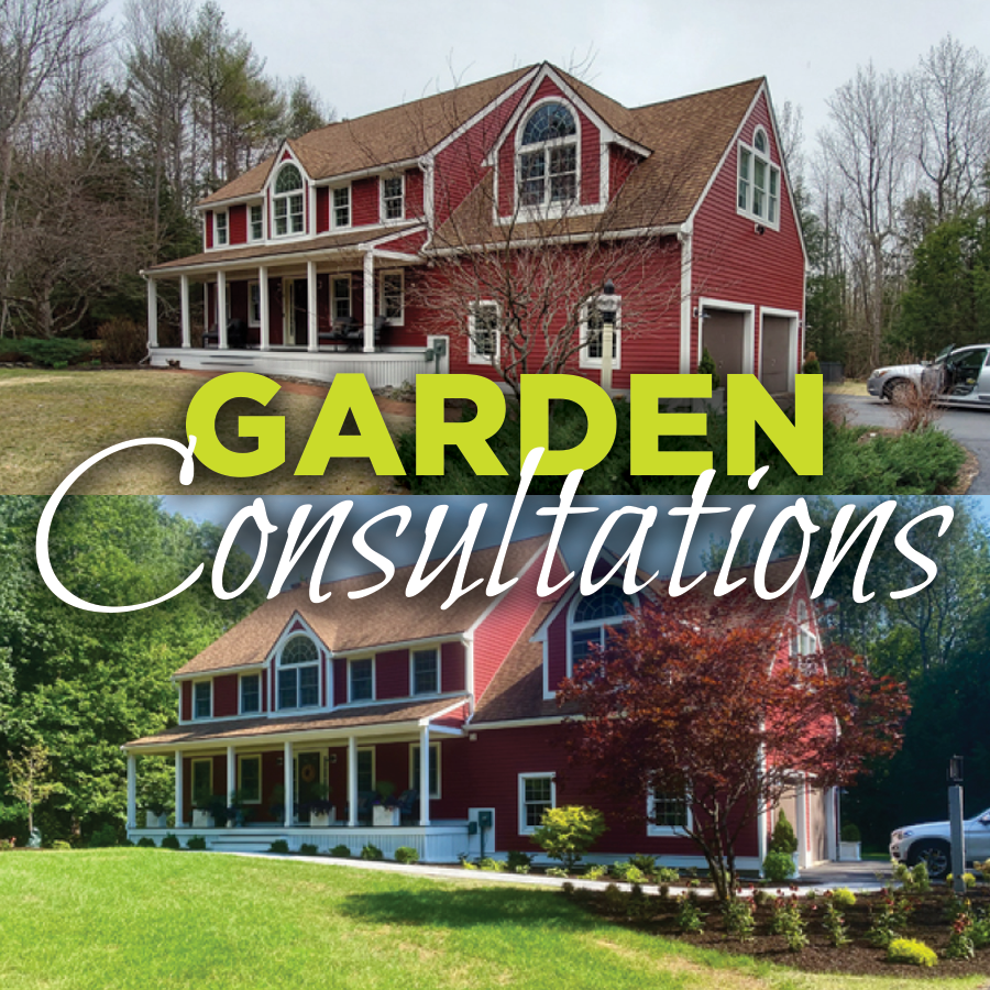 Garden Consultations