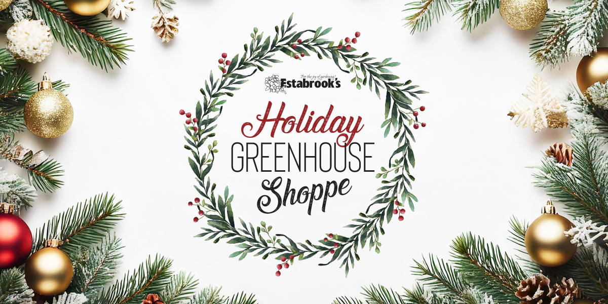 Holiday Greenhouse Shoppe