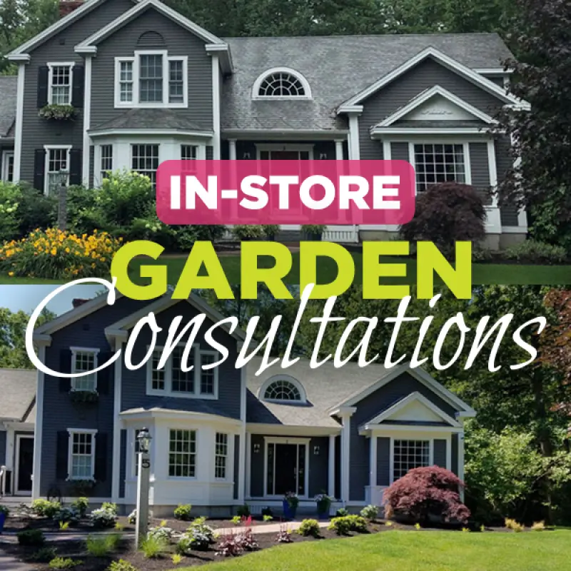In-Store Garden Consultation